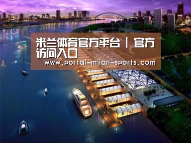 案例展示八