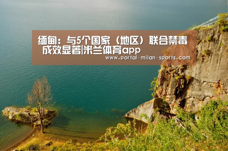 缅甸:与5个国家(地区)联合禁毒 成效显著|米兰体育app(图4) 米兰体育电竞
