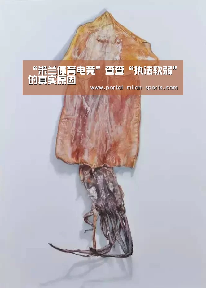 “米兰体育电竞”查查“执法软弱”的真实原因(图1) 米兰体育电竞