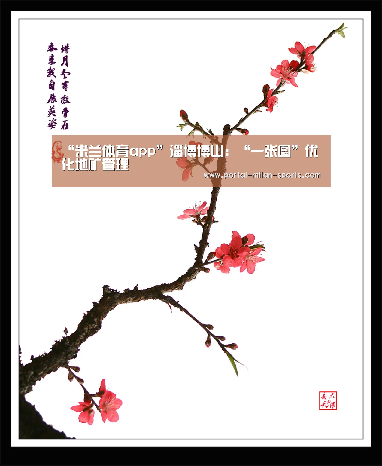 “米兰体育app”淄博博山:“一张图”优化地矿管理(图2) 米兰网页版
