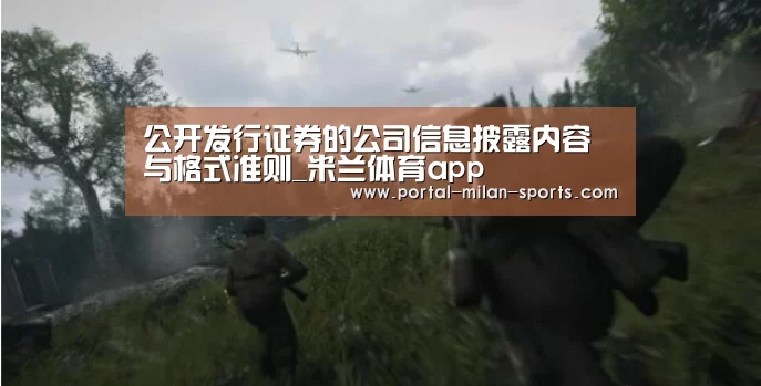 公开发行证券的公司信息披露内容与格式准则_米兰体育app(图2) 米兰俱乐部