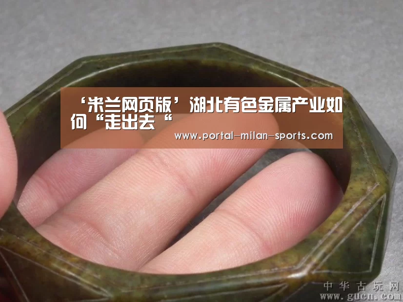 ‘米兰网页版’湖北有色金属产业如何“走出去“(图4) 米兰俱乐部