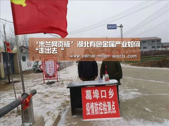 ‘米兰网页版’湖北有色金属产业如何“走出去“(图3) 米兰俱乐部